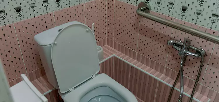 Meeting Diverse Needs With Accessible Restroom Solutions in Granite City, IL