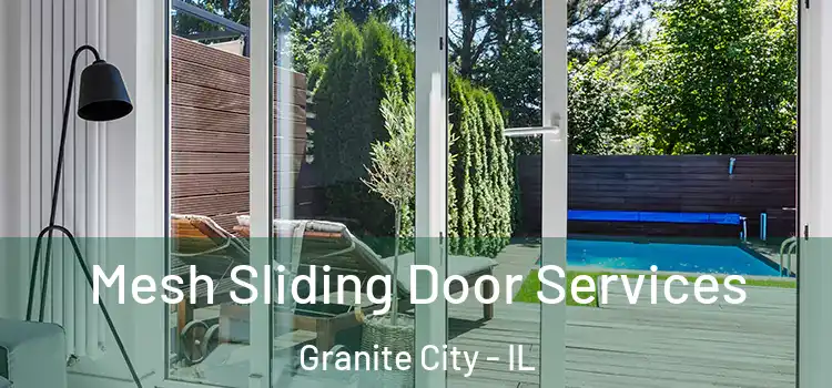 Mesh Sliding Door Services Granite City - IL